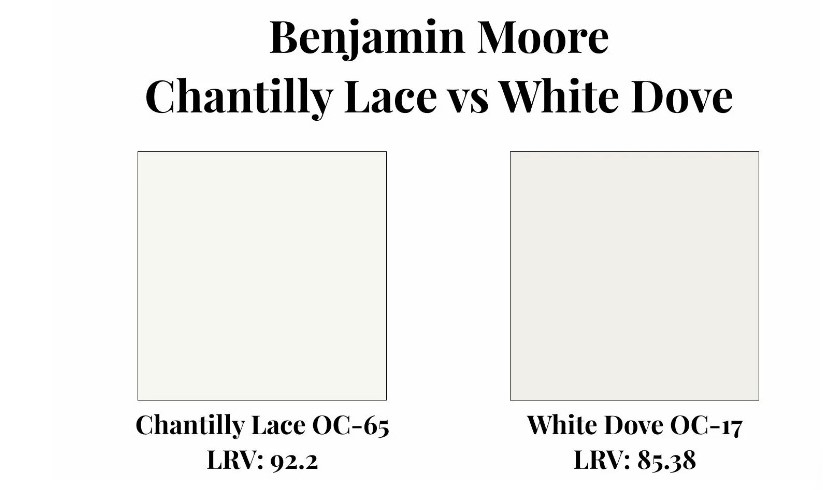 Lace with White Dove