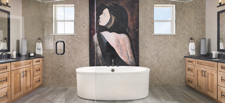 Bathroom accent wall: Best photo ideas & prof recommendation